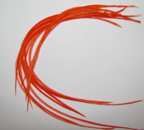 ���� Dry Fly (��� ����� ���) 10 �� ��������� , ������ � 12 - 14 L+